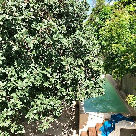梅里达Casa "La 44"住宿加早餐旅馆 外观 照片