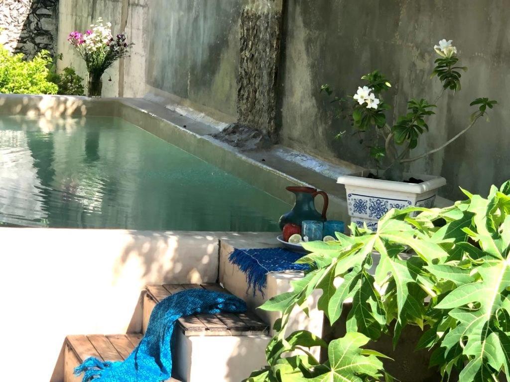 梅里达Casa "La 44"住宿加早餐旅馆 外观 照片